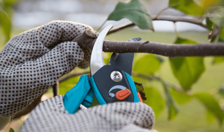 S'ihuil Landscaping & Maintenance