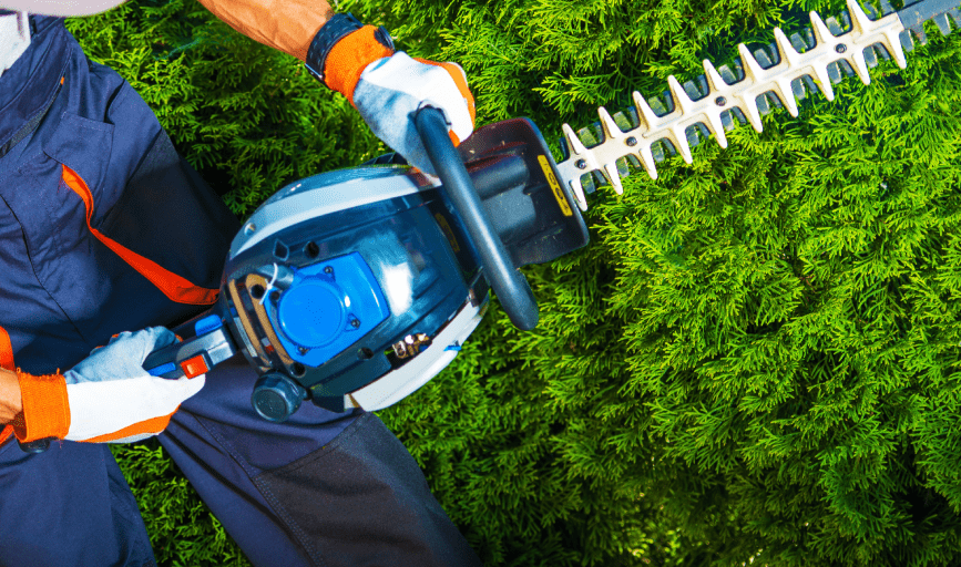 S'ihuil Landscaping & Maintenance